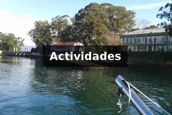 inicio-actividades