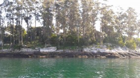 san-simon-4